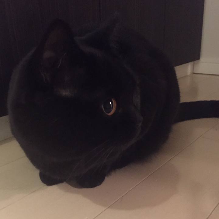 7b504be6 71ee 45ad 95b0 637ff846f094