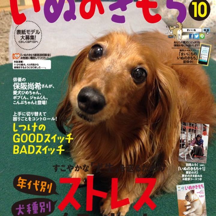 7b505820 b7cb 43a9 8c8e eb7375ddca3e