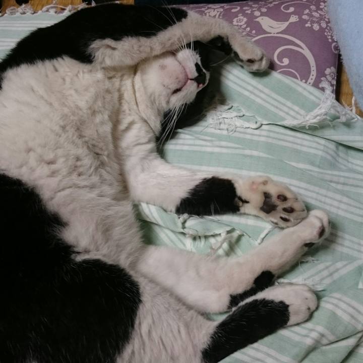 7b505b3a 3079 4688 b206 340987fe274b