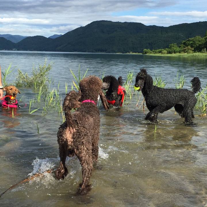 7b505cab 5e77 4ab6 ac2b d8de2e05788e