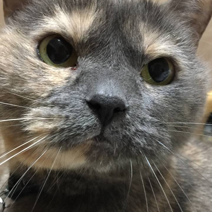 7b50b7b7 4dbf 454e 9c20 ea13d9c289f1