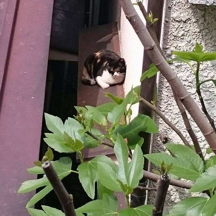 7b50bf8d 923f 49cd bfb4 13dee56a1fad