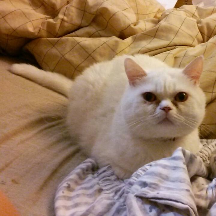 7b510814 6337 42ff b676 ec8501ca2517