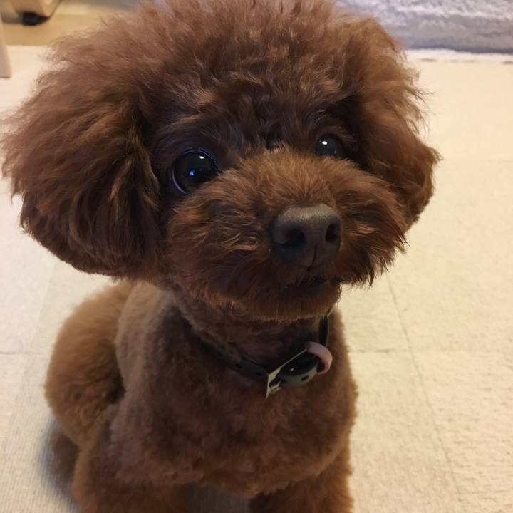 7b51214f fdf8 4e5a aa8d 0489bda5e6f5