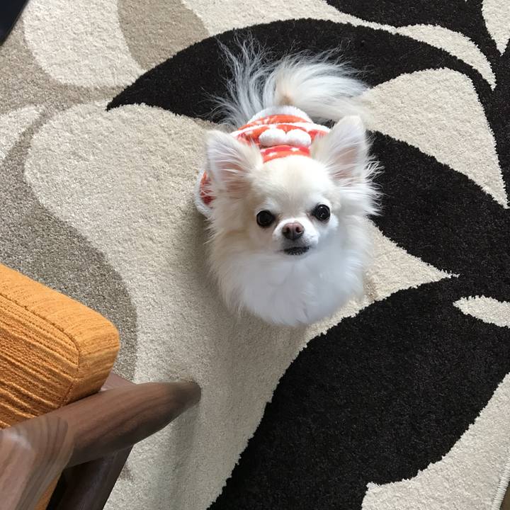 7b516703 5db1 4abc b884 49d396ca605e