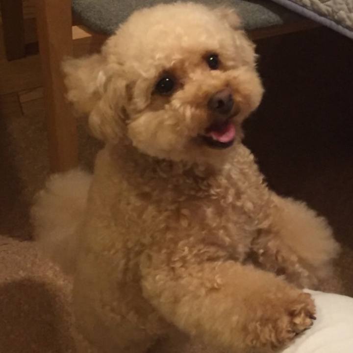 7b518c9c 9a4e 491d 8399 4d65dbd51888