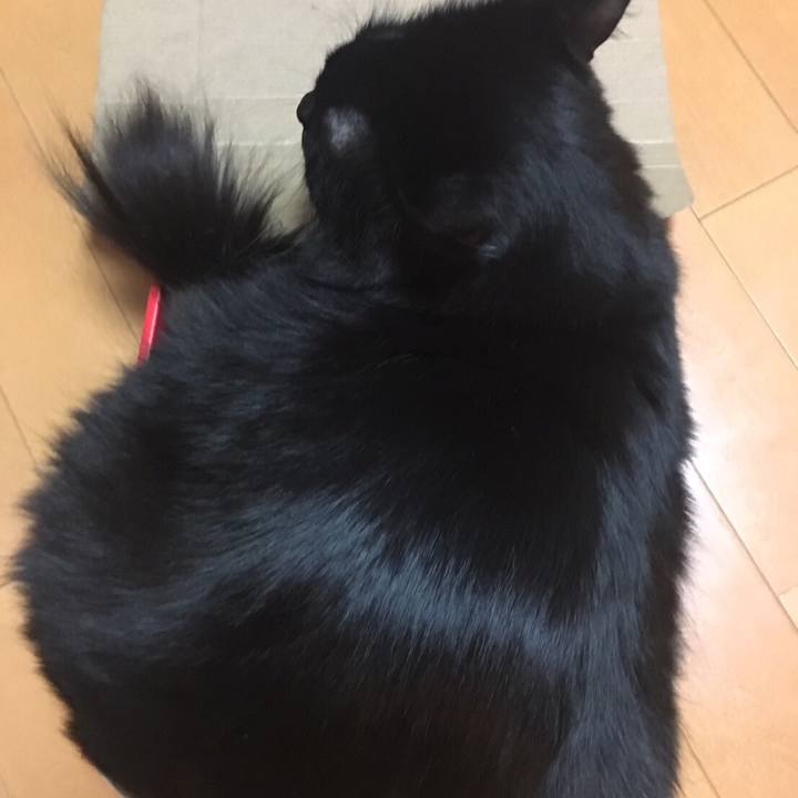 7b51ba04 61eb 4fe8 9ee2 38694173c53e