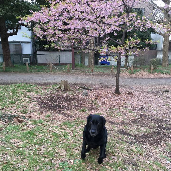 7b52ac2b 156c 41f7 92ab 378b11054eb5