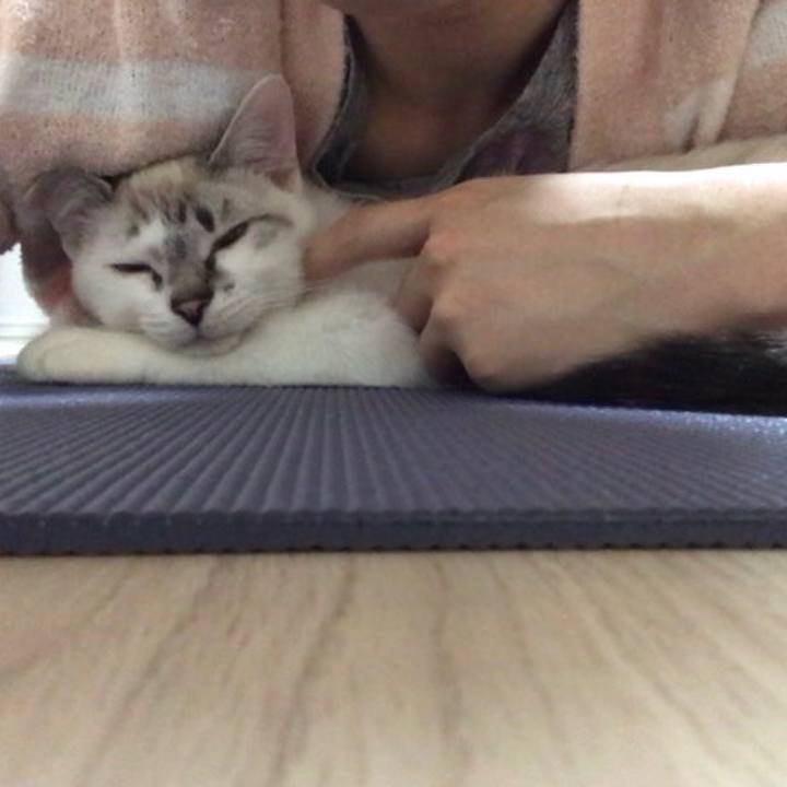 7b52af09 58f0 432d 8d5c 41c58aa8fcff