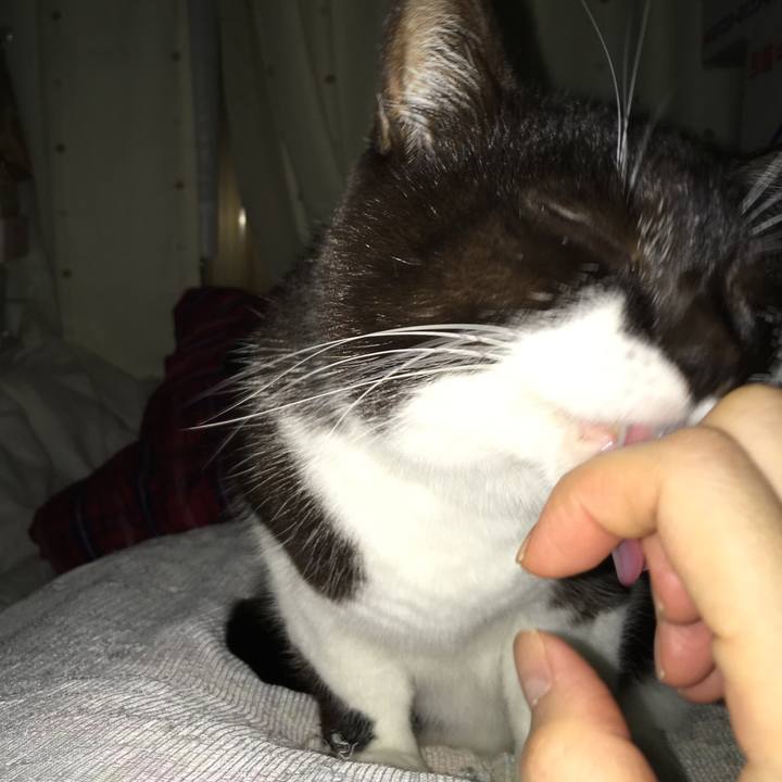 7b52e2db 6b8f 4fd6 b22f 893f567ae438