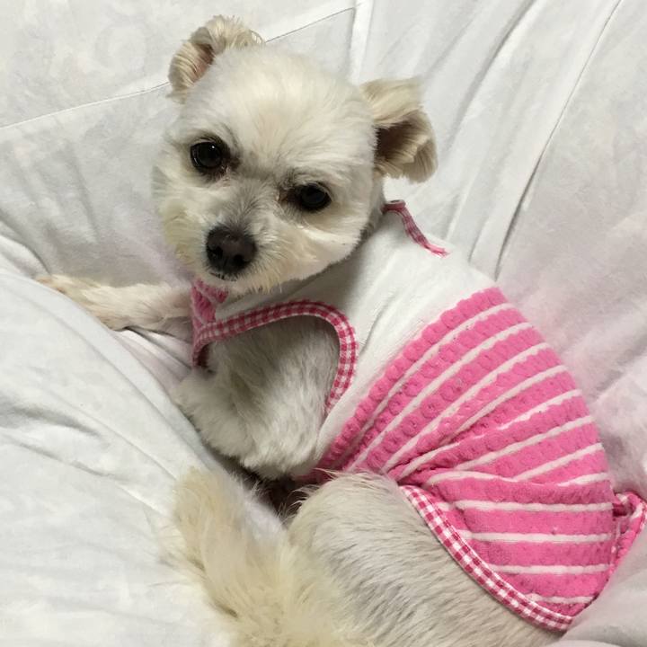 7b535e22 9bec 4aba ba4d b866fb48570b