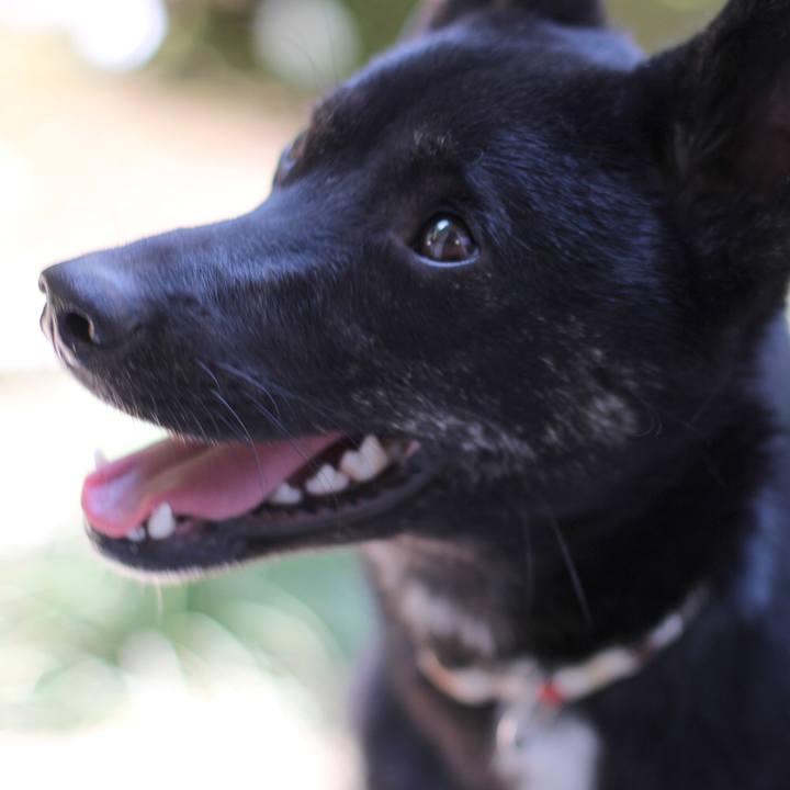 7b53f51a 79fe 498d 8554 fcbf9b511110