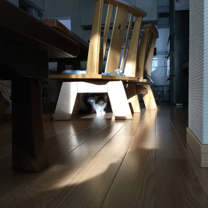 7b540a54 9c34 4ef2 a4ce 26c8dbb586cc