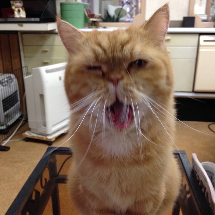 7b5475f0 adbf 4fb9 a30d 5dd2615be476