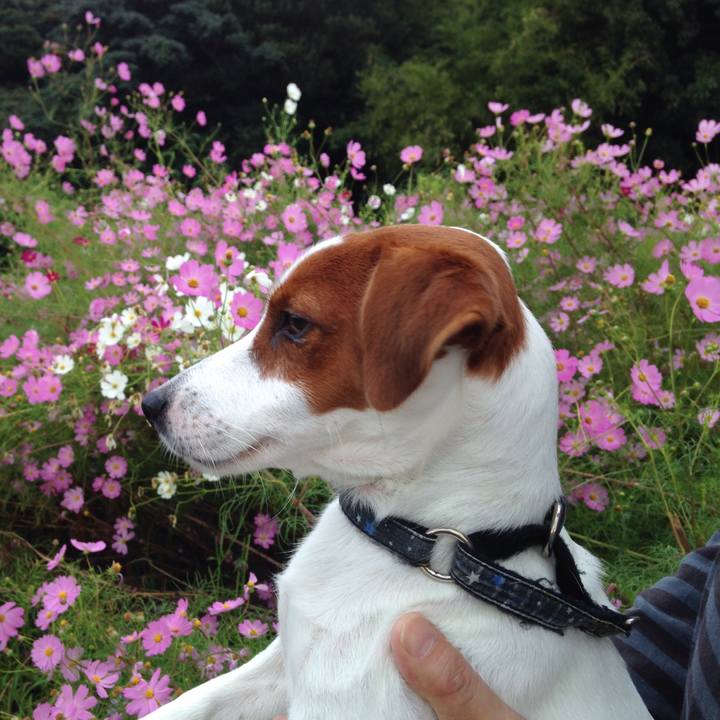 7b54a24f c0f0 438f bab3 28b33c73804c