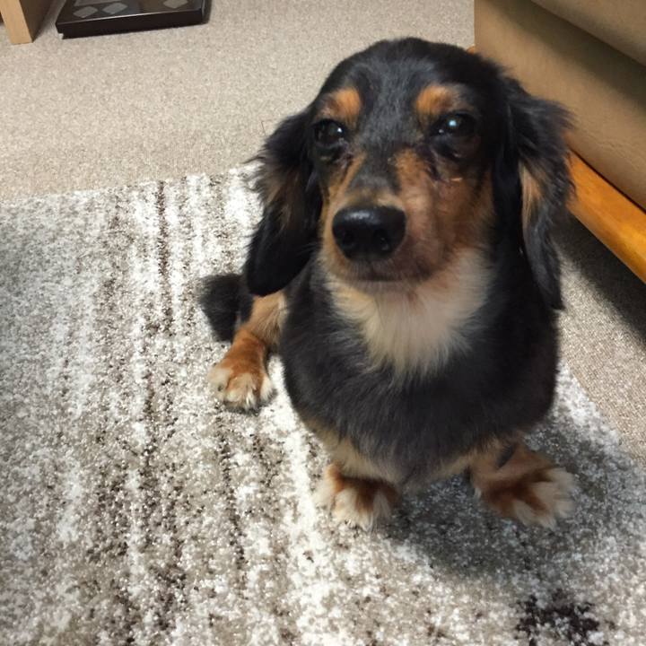 7b54a367 3a0b 4a6b 8881 ff560925f28b