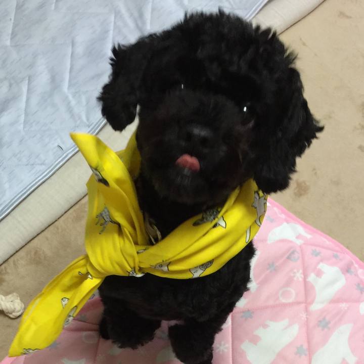 7b551dec 3fac 406d b1e5 99b6f5eb5156