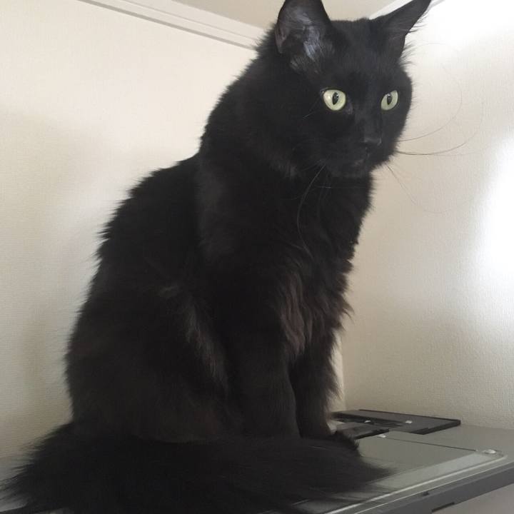 7b557243 fca1 4cdf 9ba6 e62db9f7ca51