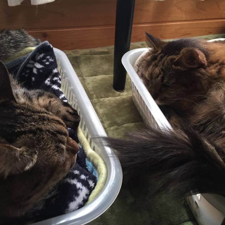 7b557671 6b72 4a0e 8dd3 7e151bd52b32