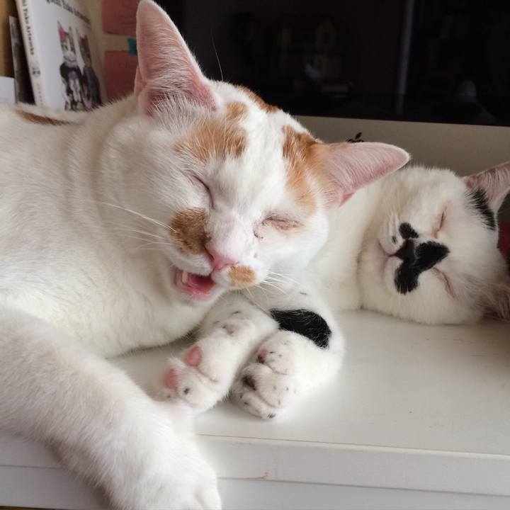 7b55b2a1 30bf 47cd 91d0 3312b1562d84