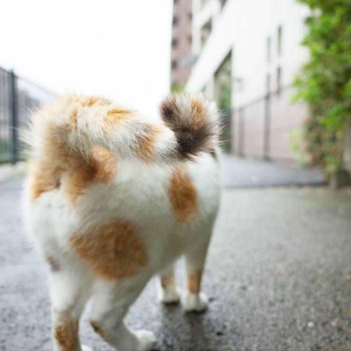 7b55cc1b e251 45e4 867d 1d2a35aeb6d6