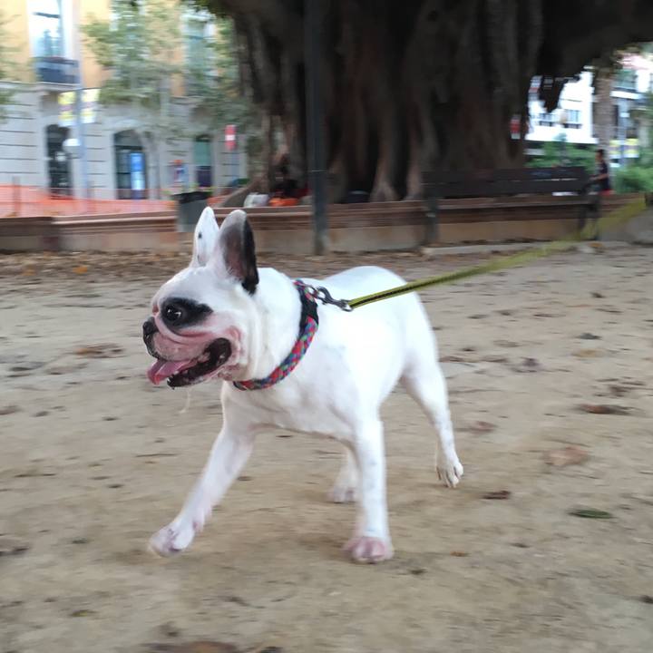 7b55ee20 e830 4b81 9733 c33a6e93b317