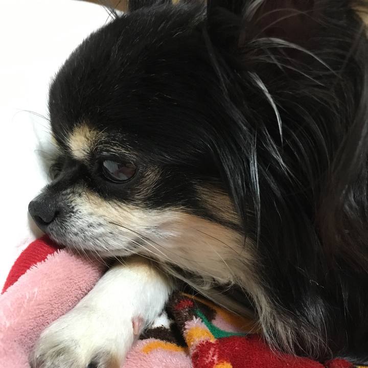 7b55f488 1071 4e7d a1a7 2a6f4d6356ad