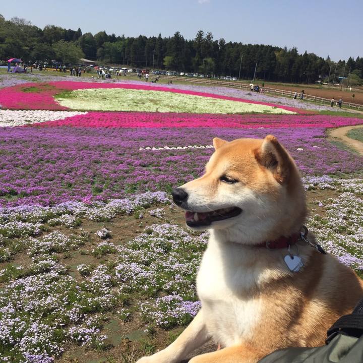 7b57a8a4 dedf 4879 b743 98a12bdc9c4f