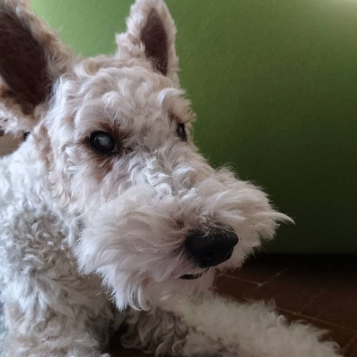 7b5813e9 4334 47a8 8c99 21db4ea20685