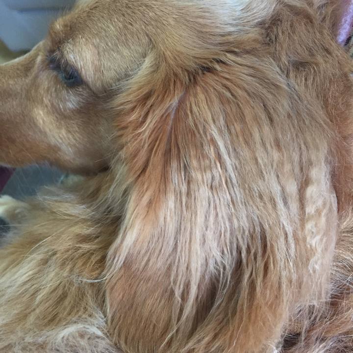 7b595e84 dc7d 4c6e 83a3 85f52ccfd3d4