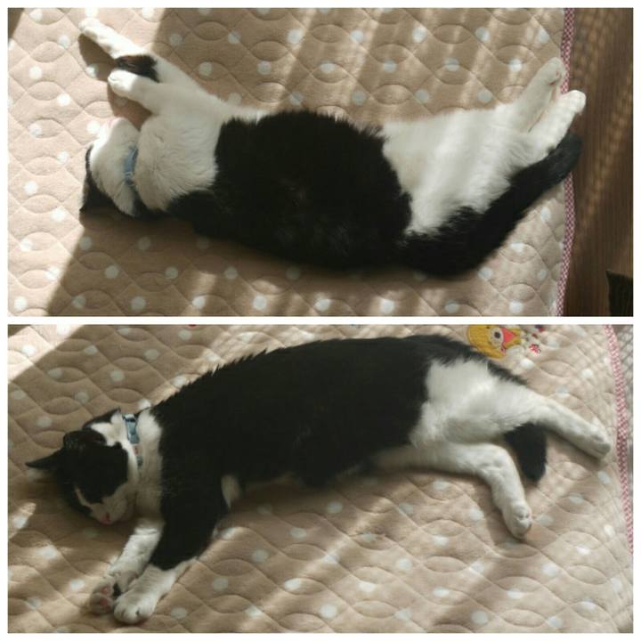 7b59814f 4f4e 46b9 9feb 641d844aa8cd