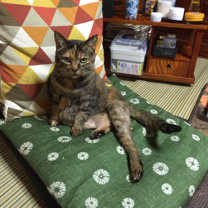 7b59a4ef 9435 4dd7 9531 5160fa18ecac