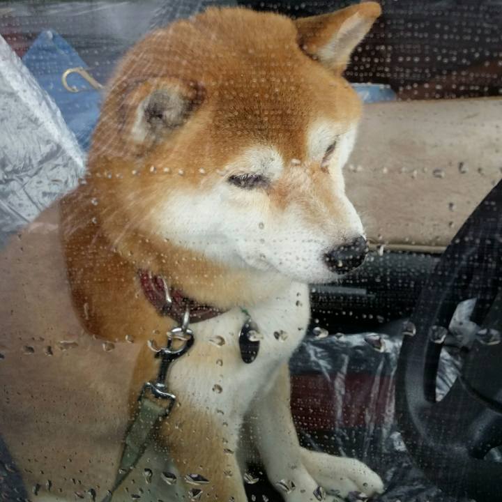 7b5ae464 683a 4027 909d bba2983ecd53