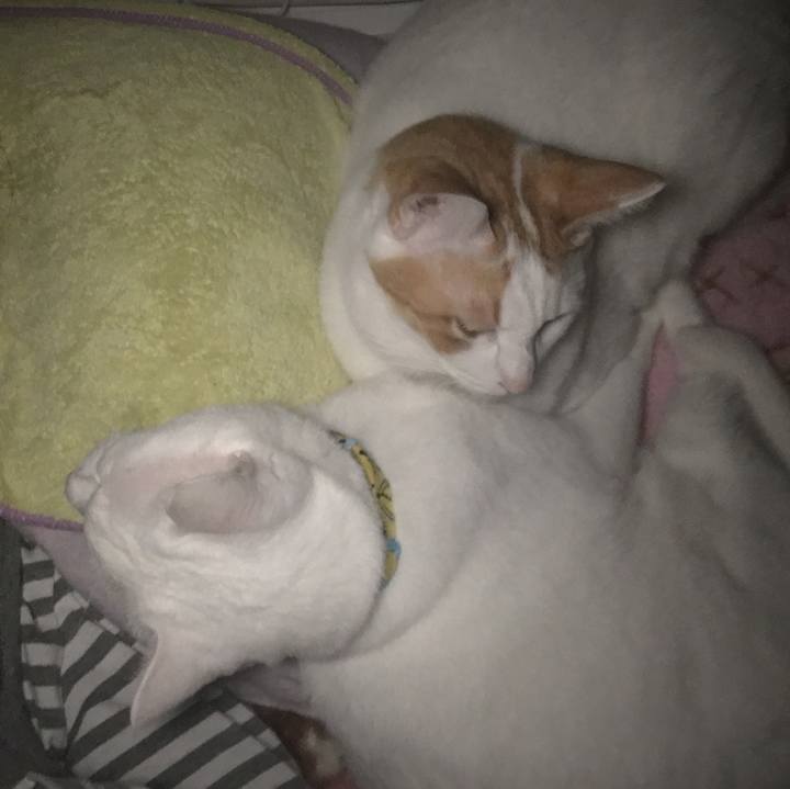 7b5b57ec 388b 42ee b33e d393684956f6