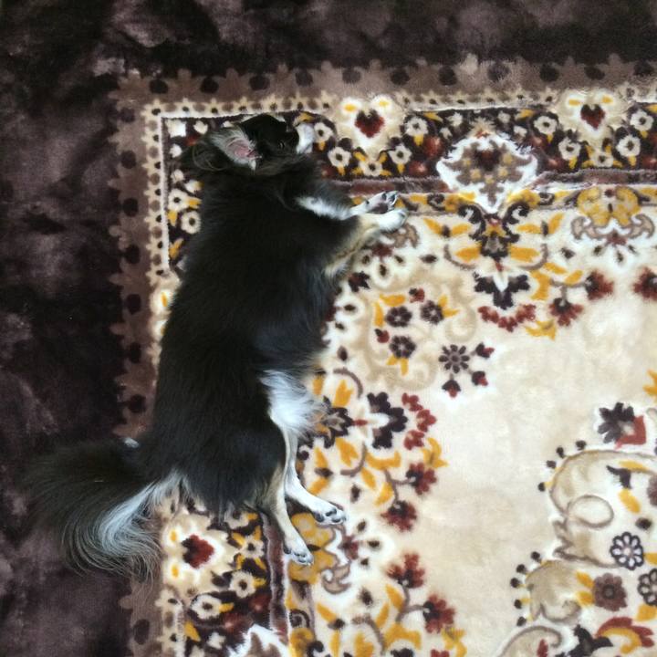 7b5bc7f4 d752 4b02 ad04 039376b5a2d4