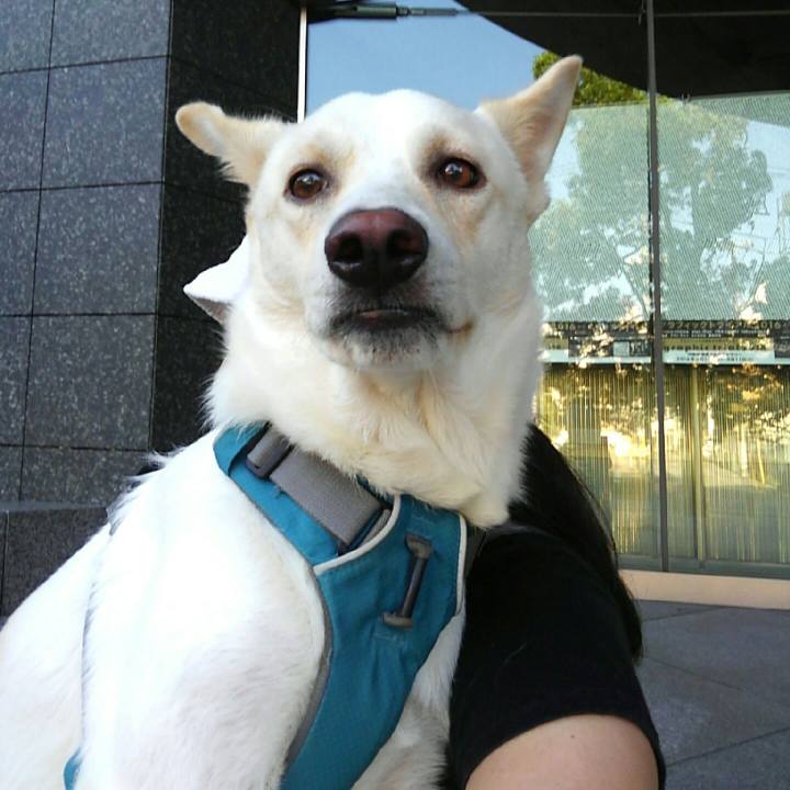 7b5c54bd 312a 400e 8a2b 7fa16c6498a0