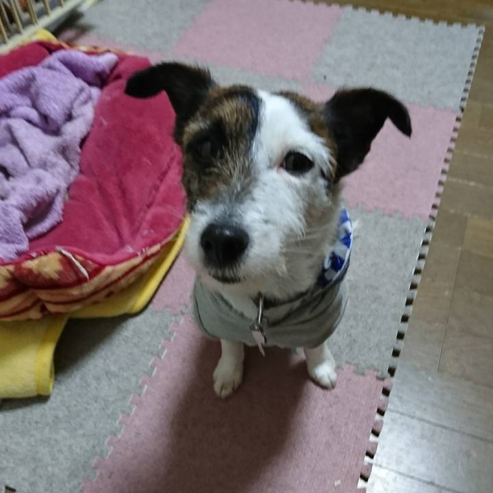 7b5cad7b 0b37 4c68 9485 8267b02d0c04