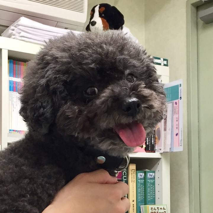 7b5d1373 afb7 40ab 8d48 4df9a890945e