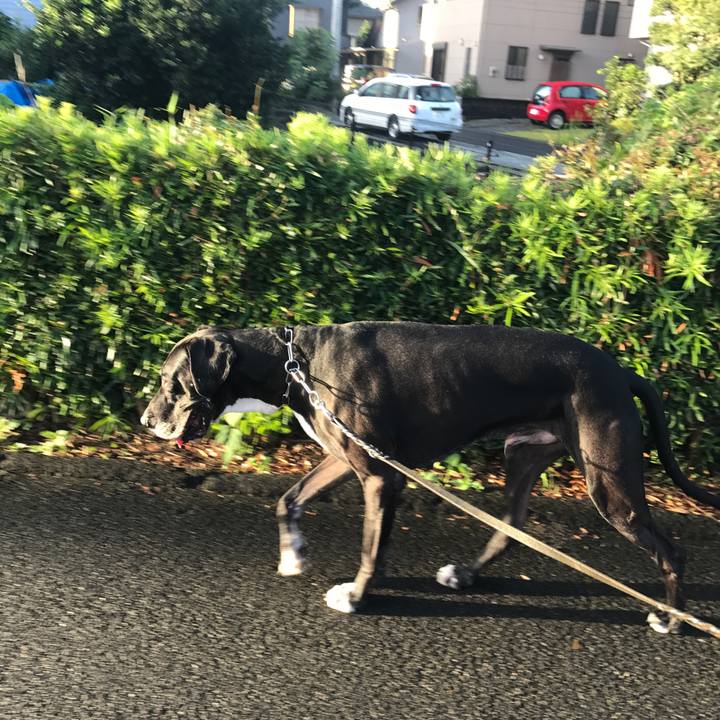 7b5f01ea bdce 4d04 af34 2e26bf17ba63