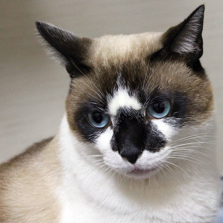 7b5f9372 2fcb 45ae 882b b1d975769026