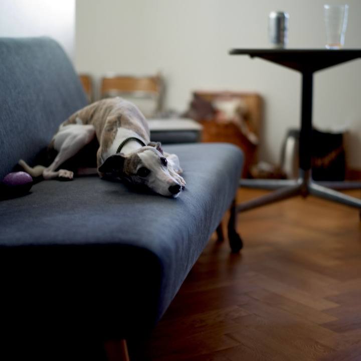 7b5fe19d 4c83 4f1f 9177 53e5d38afc9f