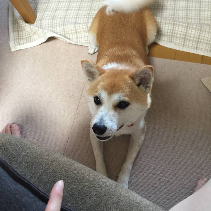 7b5fe79d e5e4 49a6 98e1 015261d5e3f7