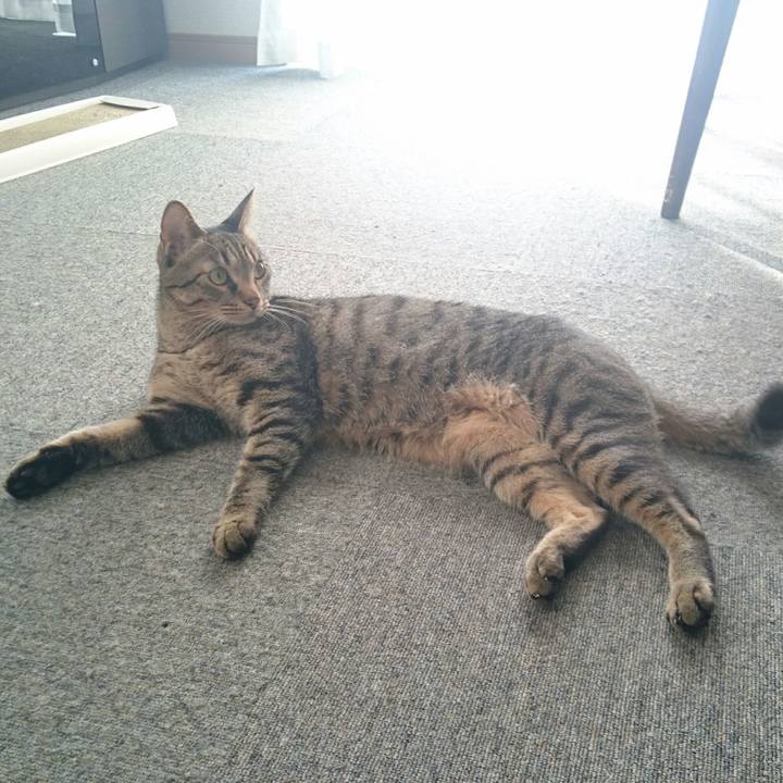 7b5ff392 5e7d 469a 9515 4150ebf3b913