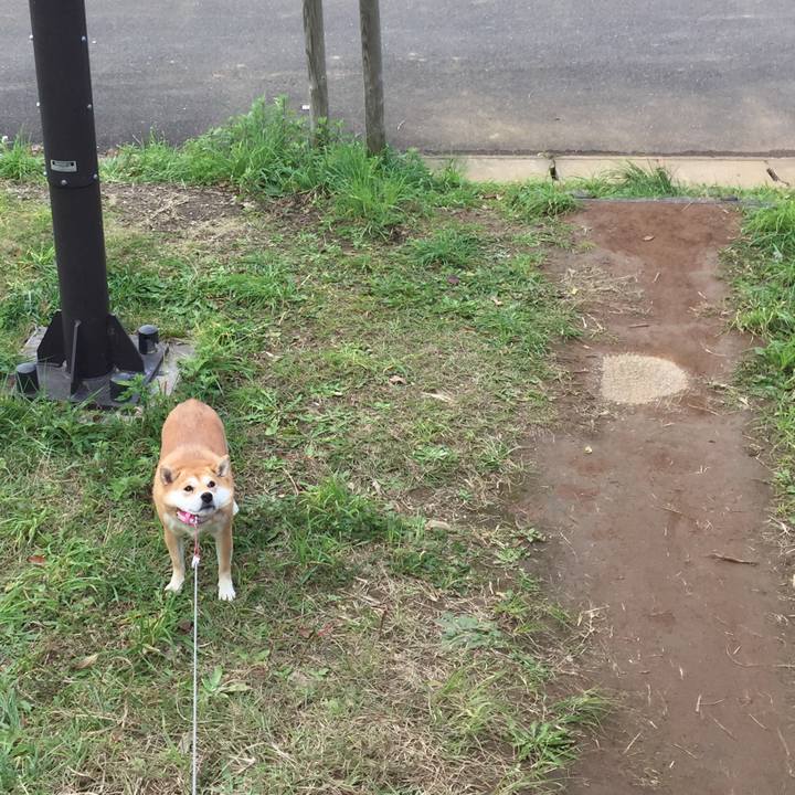 7b608596 45d3 43c3 a435 8495d6054929