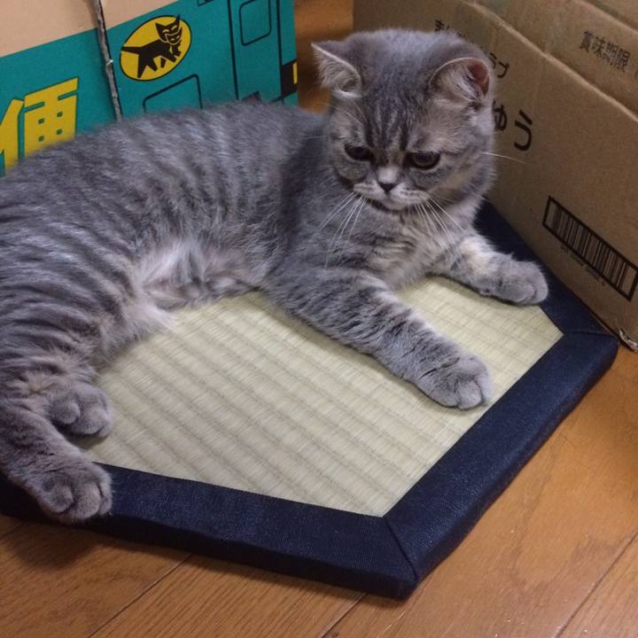 7b609a94 6644 4172 a6a9 0b3f0e4497fc