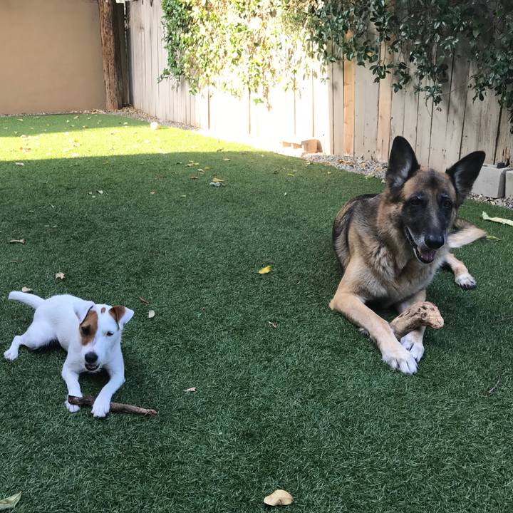 7b60defd 07d0 462b 9ea1 25beb9d258a9