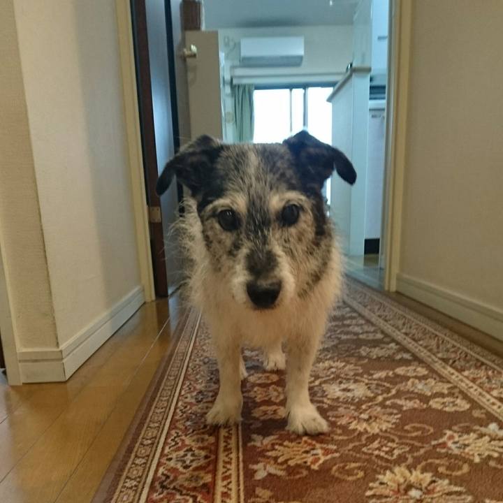 7b611aa0 b574 41d1 a209 3ef8c6301698