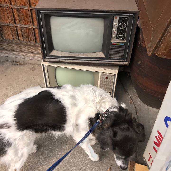 7b612939 9a1e 441f b8aa 5798957a123e