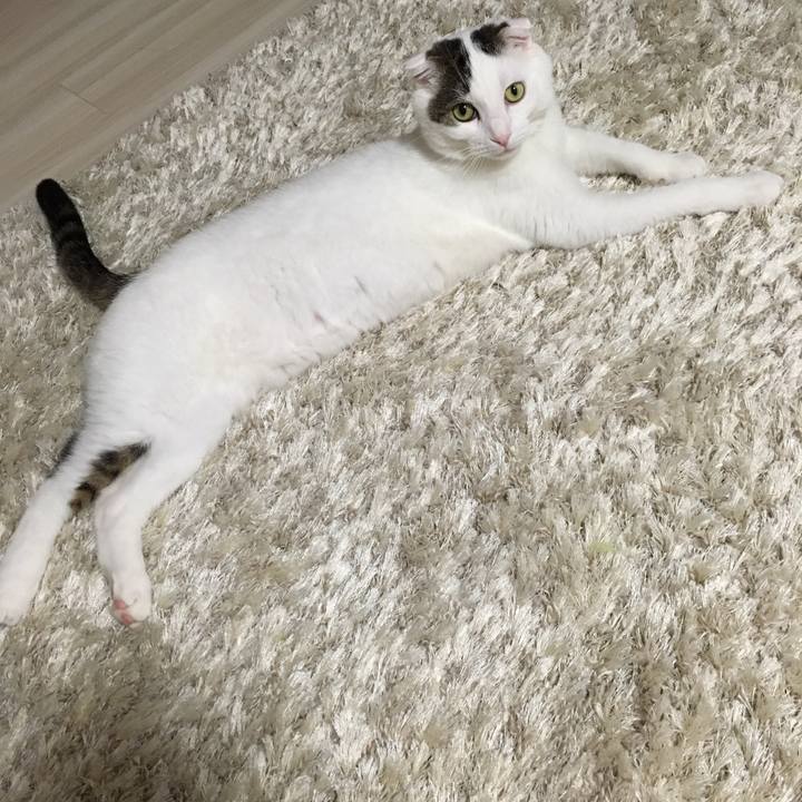 7b626901 c86d 46c9 a401 09ffc2732f5d