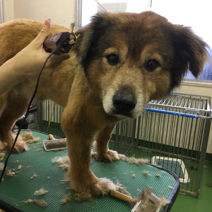 7b628226 8b3e 46df 8ec1 469edff1b095